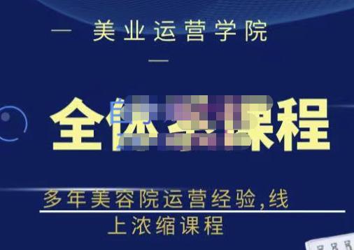 网红美容院全套营销落地课程，多年美容院运营经验，线上浓缩课程-爱副业资源网