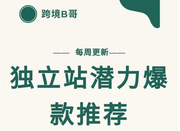 【跨境B哥】独立站潜力爆款选品推荐，测款出单率高达百分之80（每周更新）-爱副业资源网