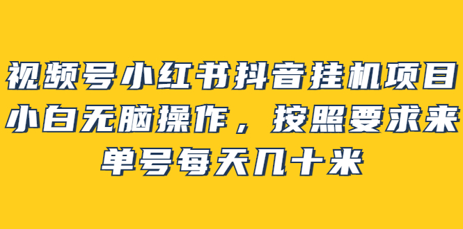 视频号小红书抖音挂机项目，小白无脑操作，按照要求来，单号每天几十米-爱副业资源网