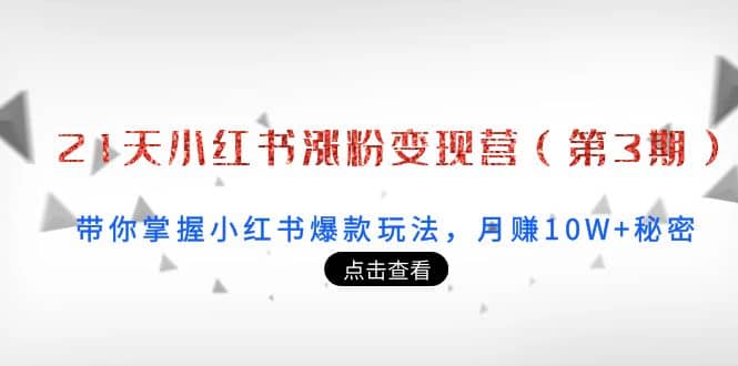 21天小红书涨粉变现营（第3期）：带你掌握小红书爆款玩法，月赚10W 秘密-爱副业资源网