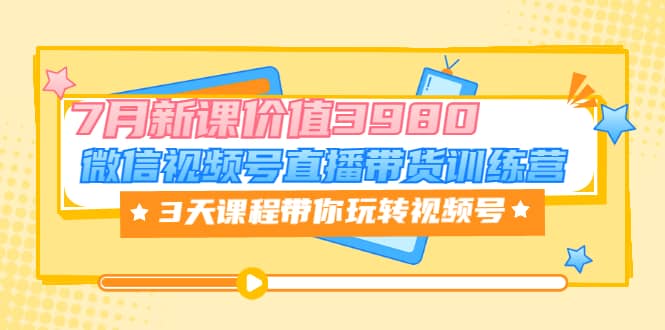 微信视频号直播带货训练营，3天课程带你玩转视频号：7月新课价值3980-爱副业资源网