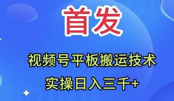 全网首发：视频号平板搬运技术，实操日入三千＋-爱副业资源网