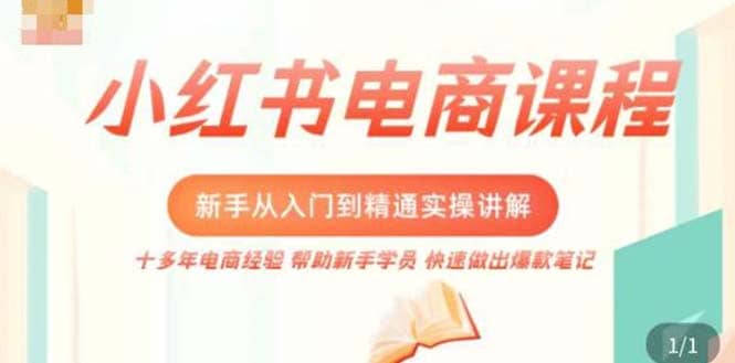 小红书电商新手入门到精通实操课，从入门到精通做爆款笔记，开店运营-爱副业资源网