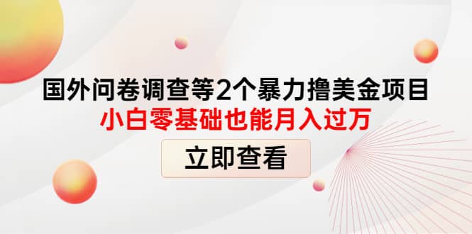 国外问卷调查等2个暴力撸美元项目，小白零基础也能月入过万-爱副业资源网