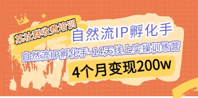 某社群收费培训：自然流IP 孵化手-14天线上实操训练营 4个月变现200w-爱副业资源网