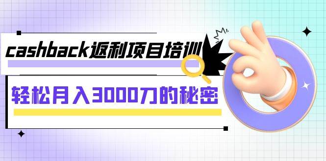 cashback返利项目培训：轻松月入3000刀的秘密（8节课）-爱副业资源网