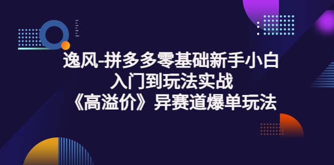 拼多多零基础新手小白入门到玩法实战《高溢价》异赛道爆单玩法实操课-爱副业资源网