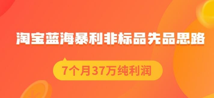 盗坤淘宝蓝海暴利非标品先品思路，7个月37万纯利润，压箱干货分享！【付费文章】-爱副业资源网