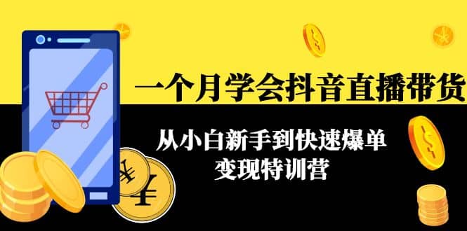 一个月学会抖音直播带货：从小白新手到快速爆单变现特训营(63节课)-爱副业资源网