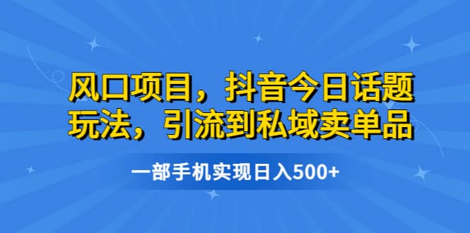 风口项目，抖音今日话题玩法，引流到私域卖单品，一部手机实现日入500-爱副业资源网