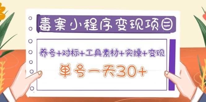 毒案小程序变现项目：养号 对标 工具素材 实操 变现-爱副业资源网