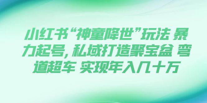 小红书“神童降世”玩法 暴力起号,私域打造聚宝盆 弯道超车 实现年入几十万-爱副业资源网