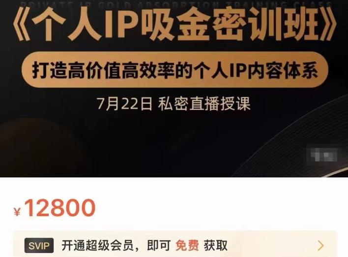 个人IP吸金密训班，打造高价值高效率的个人IP内容体系（价值12800元）-爱副业资源网