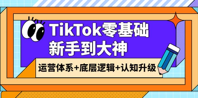 TikTok零基础新手到大神：运营体系 底层逻辑 认知升级（9节系列课）-爱副业资源网