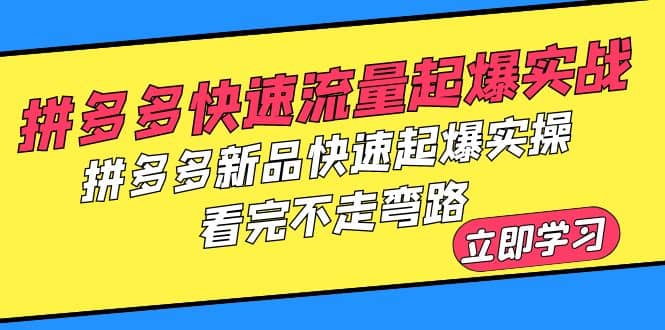 拼多多-快速流量起爆实战，拼多多新品快速起爆实操，看完不走弯路-爱副业资源网