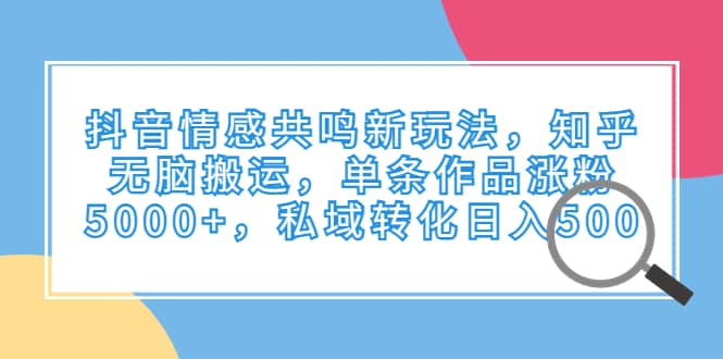 抖音情感共鸣新玩法，知乎无脑搬运，单条作品涨粉5000 ，私域转化日入500-爱副业资源网