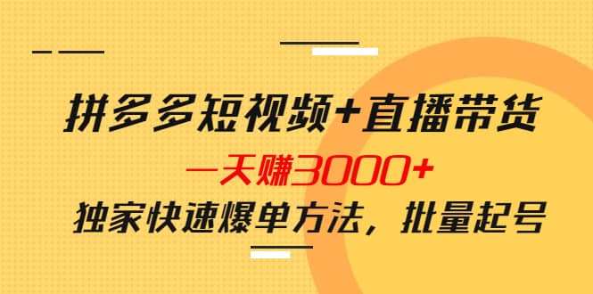 拼多多短视频 直播带货，一天赚3000 独家快速爆单方法，批量起号-爱副业资源网