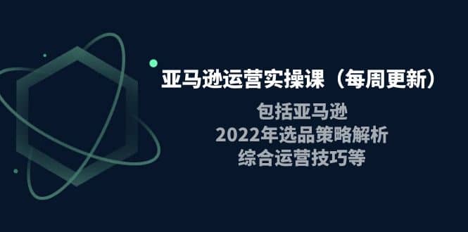 亚马逊运营实操课（每周更新）包括亚马逊2022选品策略解析，综合运营技巧等-爱副业资源网