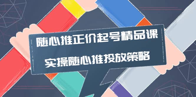 随心推正价起号精品课，实操随心推投放策略（5节课-价值298）-爱副业资源网