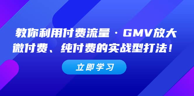 教你利用付费流量·GMV放大，微付费、纯付费的实战型打法-爱副业资源网