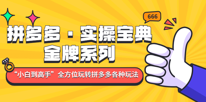 拼多多·实操宝典：金牌系列“小白到高手”带你全方位玩转拼多多各种玩法-爱副业资源网