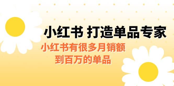 某公众号付费文章《小红书 打造单品专家》小红书有很多月销额到百万的单品-爱副业资源网