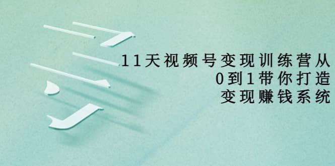 好望角·11天视频号变现训练营，从0到1打造变现赚钱系统（价值398）-爱副业资源网