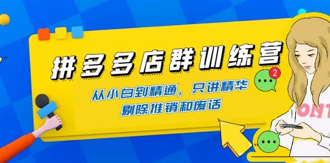 拼多多店群训练营：从小白到精通，只讲精华，剔除推销和废话-爱副业资源网