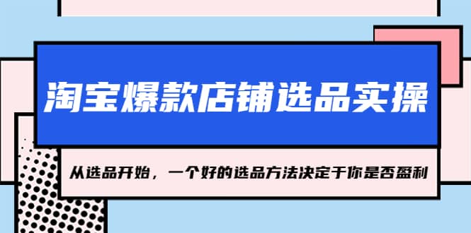 淘宝爆款店铺选品实操，2023从选品开始，一个好的选品方法决定于你是否盈利-爱副业资源网