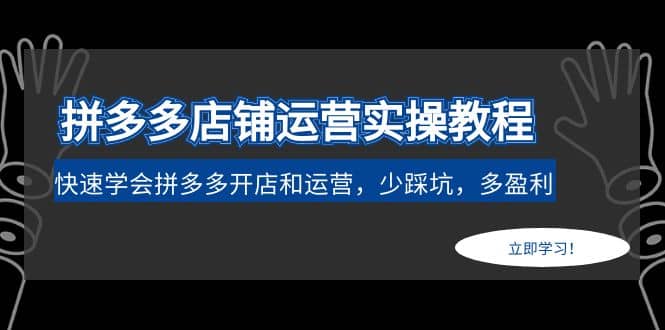 拼多多店铺运营实操教程：快速学会拼多多开店和运营，少踩坑，多盈利-爱副业资源网