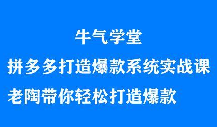 牛气学堂拼多多打造爆款系统实战课，老陶带你轻松打造爆款-爱副业资源网