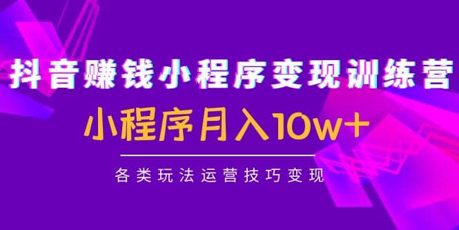 抖音小程序变现训练营：小程序各类玩法运营技巧变现-爱副业资源网