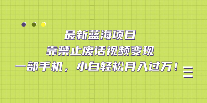 最新蓝海项目，靠禁止废话视频变现，一部手机，小白轻松月入过万！-爱副业资源网