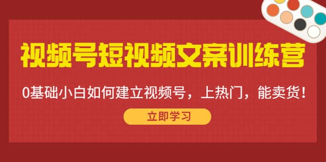 视频号短视频文案训练营：0基础小白如何建立视频号，上热门，能卖货！-爱副业资源网