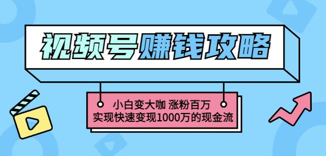 玩转微信视频号赚钱：小白变大咖涨粉百万实现快速变现1000万的现金流-爱副业资源网