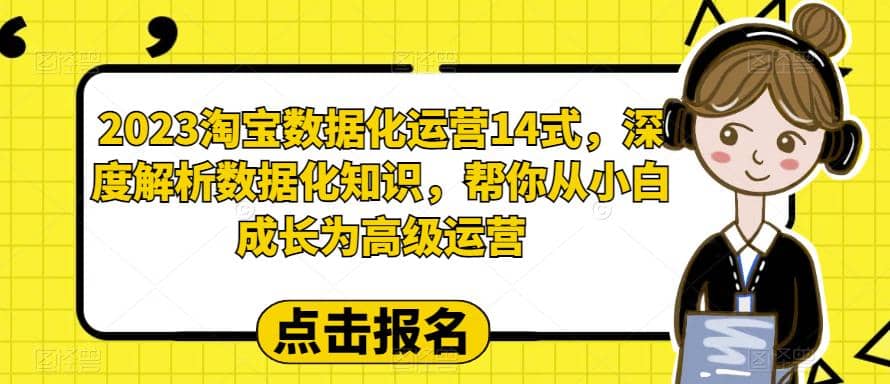 2023淘宝数据化-运营 14式，深度解析数据化知识，帮你从小白成长为高级运营-爱副业资源网