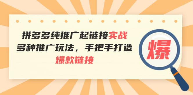 拼多多纯推广起链接实战：多种推广玩法，手把手打造爆款链接-爱副业资源网