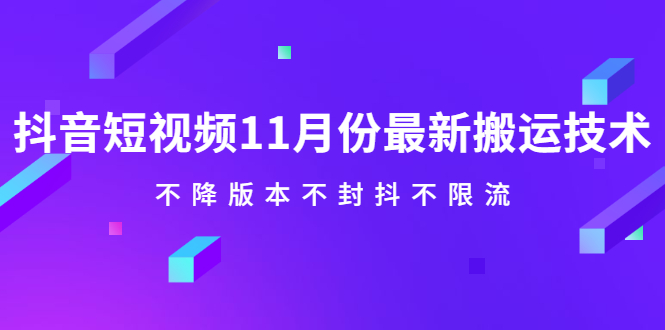 抖音短视频11月份最新搬运技术，不降版本不封抖不限流！【视频课程】-爱副业资源网