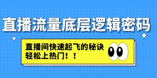 直播流量底层逻辑密码：直播间快速起飞的秘诀，轻松上热门-爱副业资源网