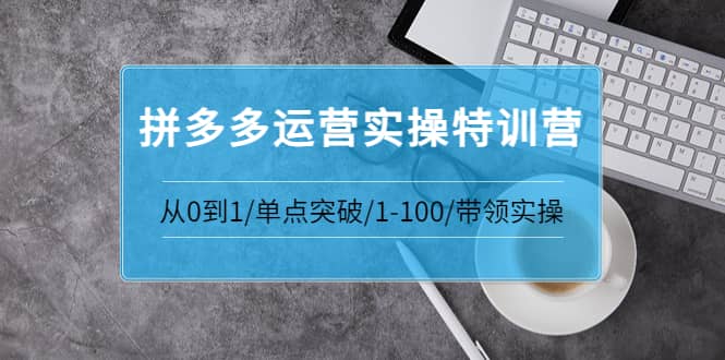 拼多多运营实操特训营：从0到1/单点突破/1-100/带领实操 价值2980元-爱副业资源网