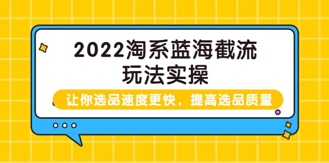 2022淘系蓝海截流玩法实操：让你选品速度更快，提高选品质量（价值599）-爱副业资源网