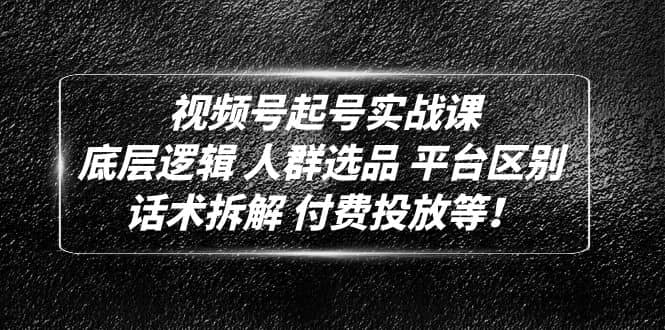 视频号起号实战课：底层逻辑 人群选品 平台区别 话术拆解 付费投放等-爱副业资源网