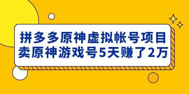 外面卖2980的拼多多原神虚拟帐号项目-爱副业资源网