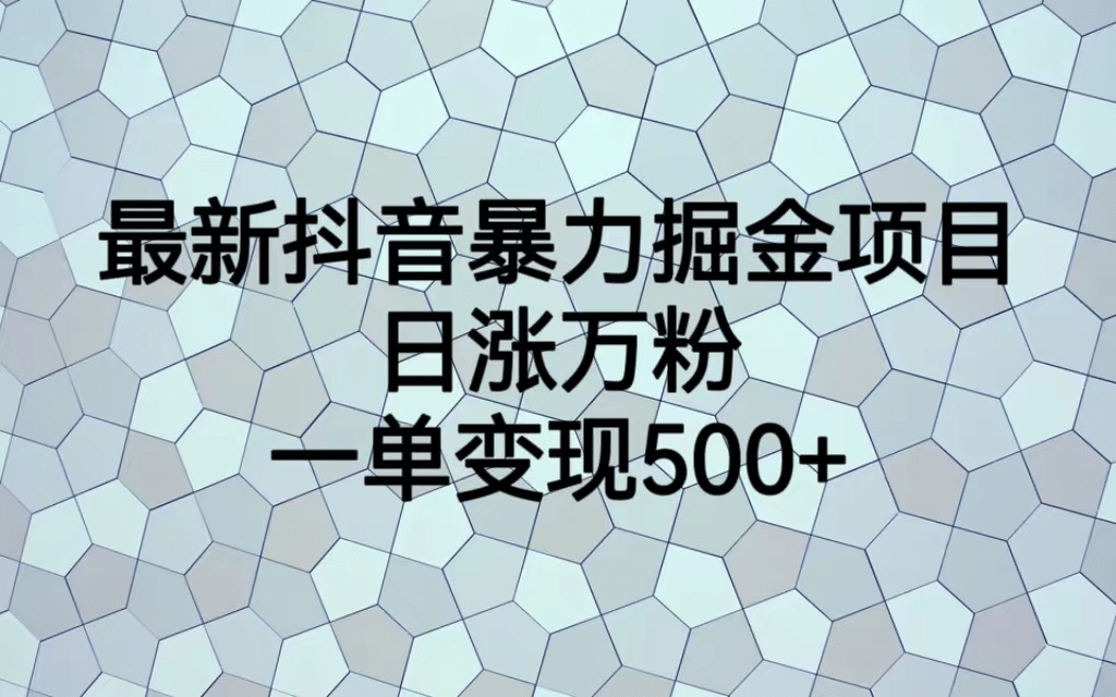 最火热的抖音暴力掘金项目，日涨万粉，多种变现方式，一单变现可达500-爱副业资源网