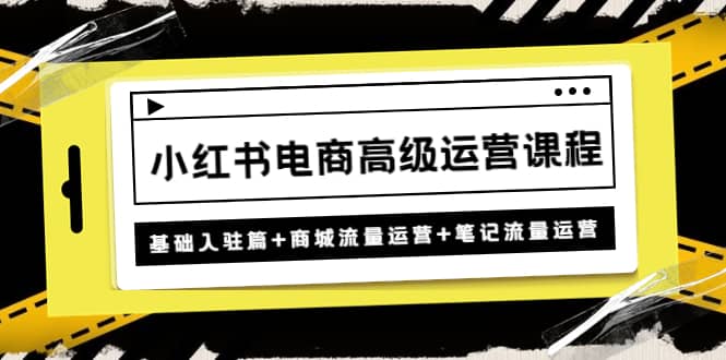 小红书电商高级运营课程：基础入驻篇 商城流量运营 笔记流量运营-爱副业资源网