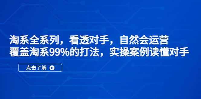 淘系全系列，看透对手，自然会运营，覆盖淘系99%·打法，实操案例读懂对手-爱副业资源网