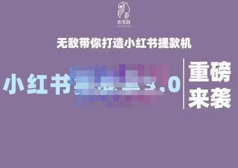 谢无敌·小红书实战营3.0，无敌带你打造小红书提款机 价值7999元-爱副业资源网