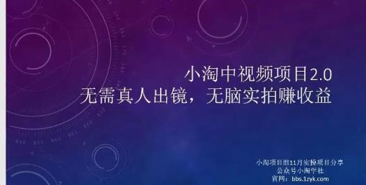 小淘项目组网赚永久会员，绝对是具有实操价值的，适合有项目做需要流程【持续更新】-爱副业资源网