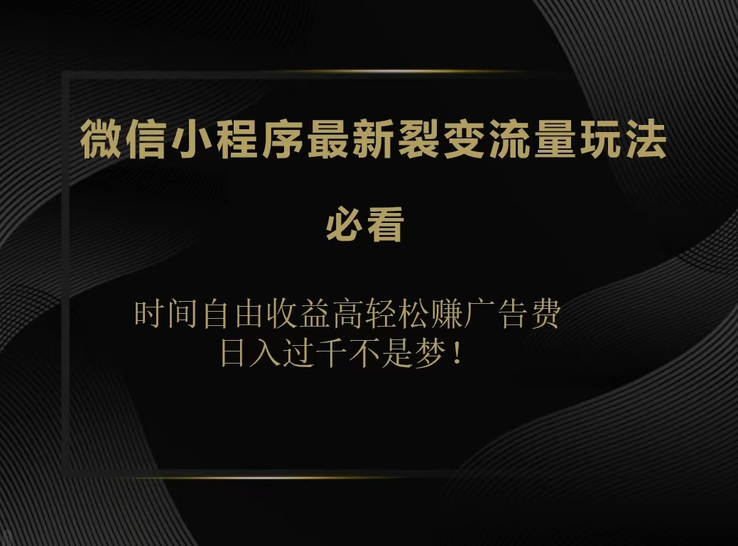 微信小程序最新裂变流量玩法，时间自由收益高轻松赚广告费，日入200-500+-爱副业资源网