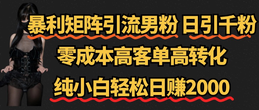 暴利矩阵引流男粉（日引千粉），零成本高客单高转化，纯小白轻松日赚2000+-爱副业资源网